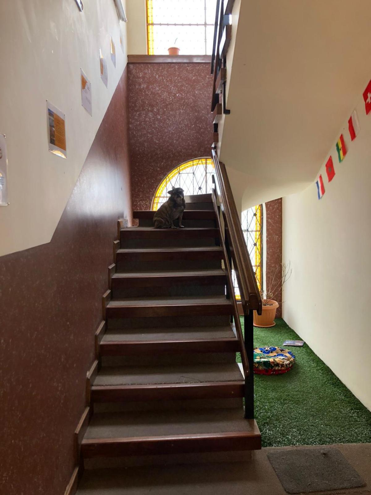 Home In Hostel Ла-Пас Экстерьер фото